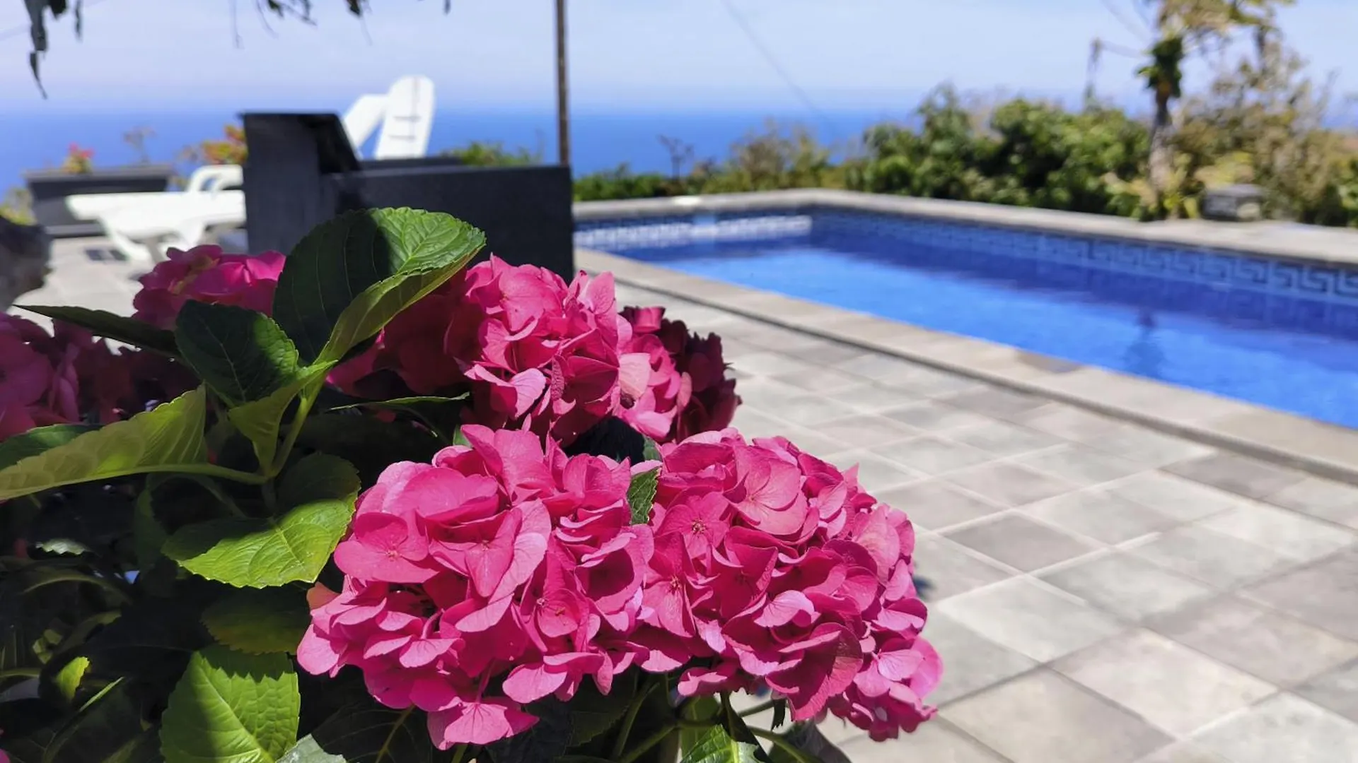Apartamentos Guayonje Costa Santa Cruz de Tenerife